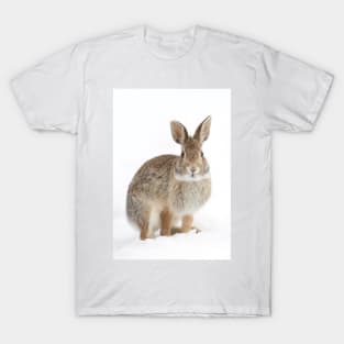 Eastern Cottontail rabbit T-Shirt